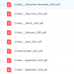 cricket 2020-学霸网