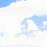 立贤小学语文特色作业展示（三）-学霸网